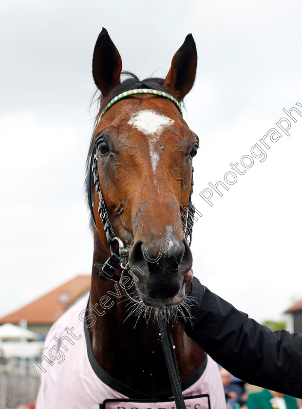 Arrest-0015 
 ARREST after The Boodles Chester Vase
Chester 10 May 2023 - Pic Steven Cargill / Racingfotos.com