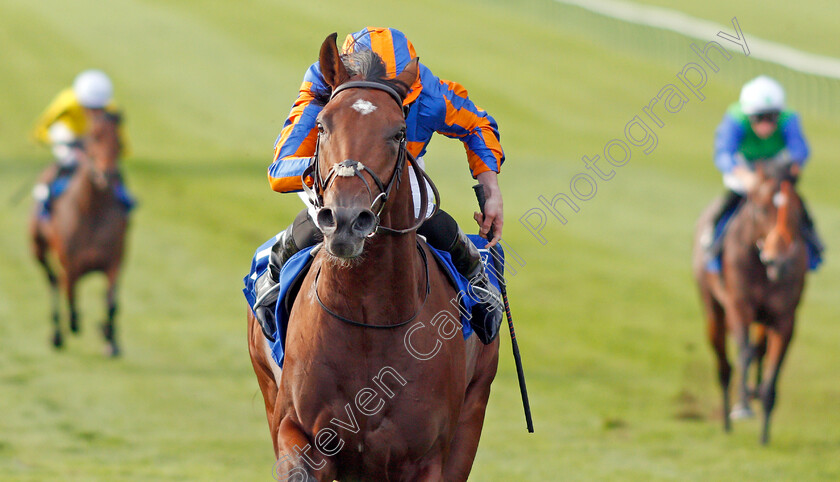 New-World-Tapestry-0002 
 NEW WORLD TAPESTRY (Ryan Moore) wins The Derrinstown Irish EBF Maiden Stakes
Newmarket 27 Sep 2019 - Pic Steven Cargill / Racingfotos.com