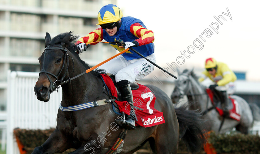 Vive-Le-Roi-0006 
 VIVE LE ROI (Harry Bannister) wins The Ladbrokes Handicap Hurdle
Newbury 30 Nov 2018 - Pic Steven Cargill / Racingfotos.com