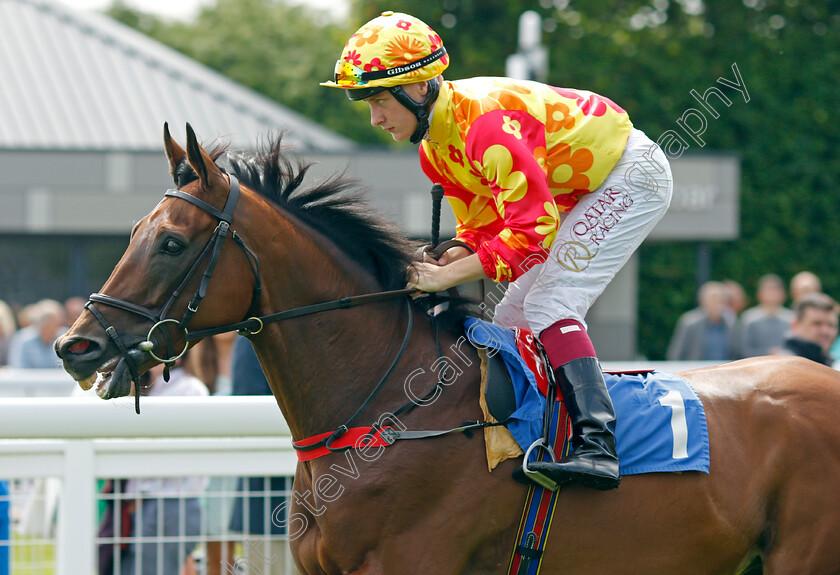 Baron-Slick-0001 
 BARON SLICK (Cieren Fallon)
Salisbury 12 Aug 2021 - Pic Steven Cargill / Racingfotos.com