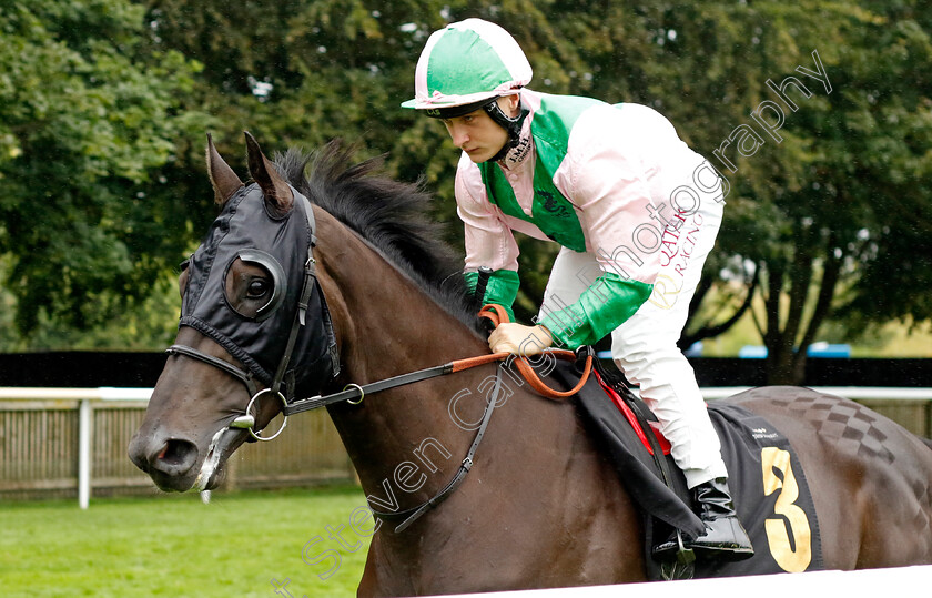 Burstow-0002 
 BURSTOW (Cieren Fallon)
Newmarket 5 Aug 2023 - Pic Steven Cargill / Racingfotos.com