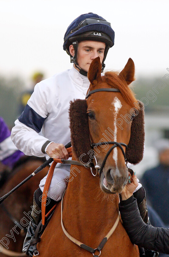 Prestigious-0001 
 PRESTIGIOUS (Adam McNamara)
Chelmsford 24 Oct 2019 - Pic Steven Cargill / Racingfotos.com