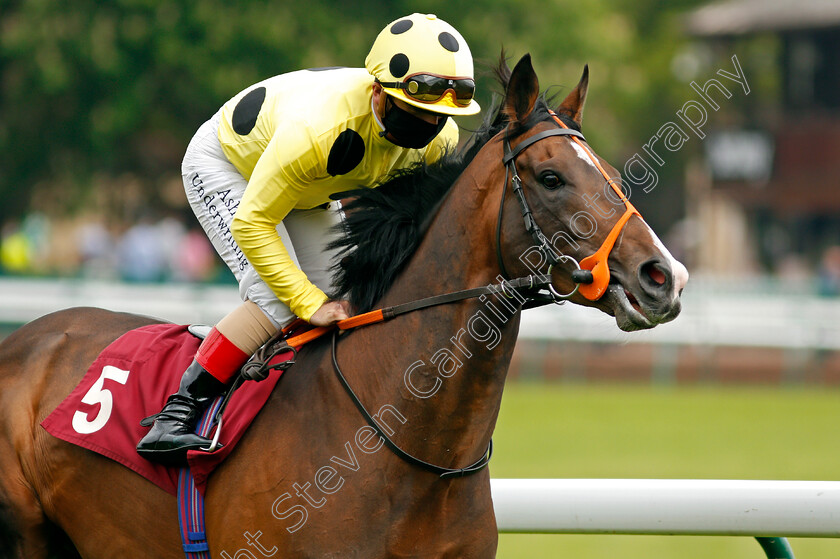 Mark-Of-Gold-0001 
 MARK OF GOLD (Andrea Atzeni)
Haydock 29 May 2021 - Pic Steven Cargill / Racingfotos.com