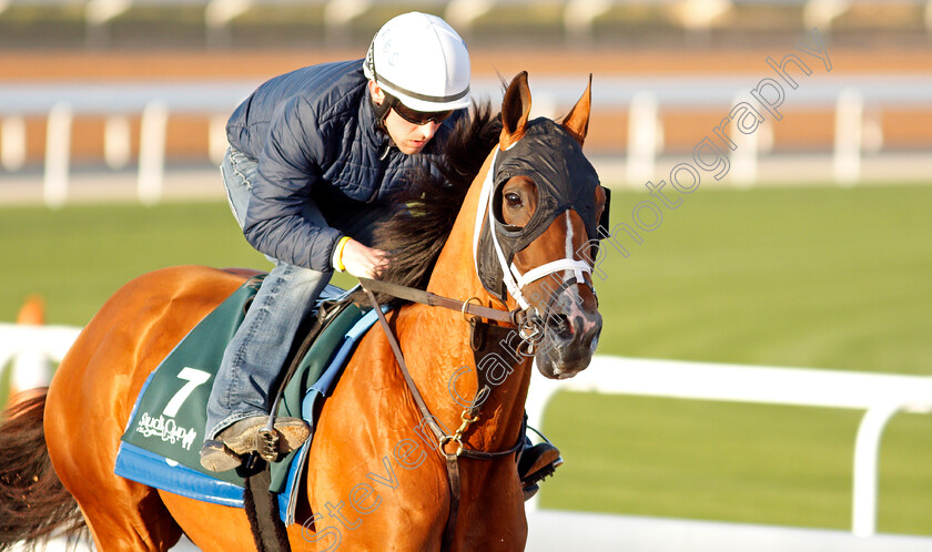 Mandaloun-0010 
 MANDALOUN training for the Saudi Cup
King Abdulaziz Racetrack, Riyadh, Saudi Arabia 22 Feb 2022 - Pic Steven Cargill / Racingfotos.com