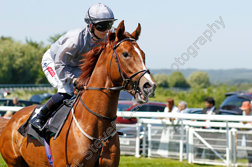 Ambushed-0001 
 AMBUSHED (Hollie Doyle)
Goodwood 26 May 2023 - Pic Steven Cargill / Racingfotos.com