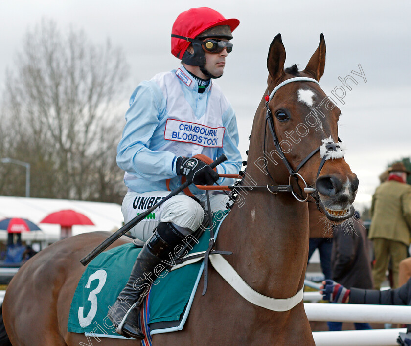 Barbados-Blue-0002 
 BARBADOS BLUE (Nico de Boinville)
Warwick 9 Dec 2021 - Pic Steven Cargill / Racingfotos.com