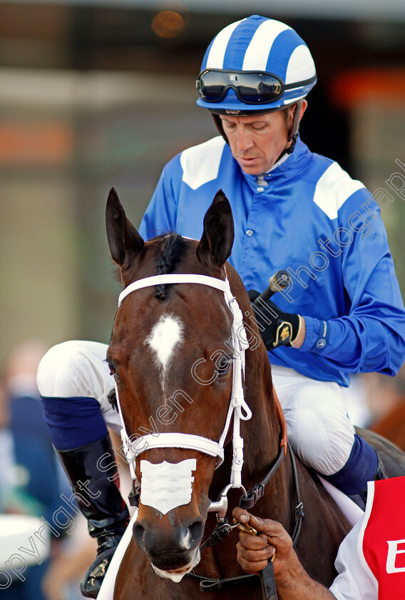 Ekhtiyaar-0001 
 EKHTIYAAR (Jim Crowley)
Meydan 7 Mar 2020 - Pic Steven Cargill / Racingfotos.com