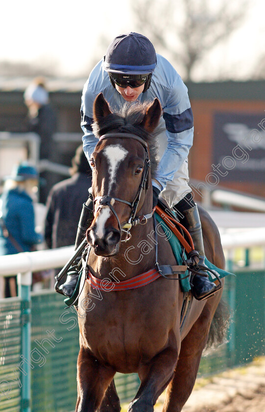 Coolnaugh-Haze-0007 
 COOLNAUGH HAZE (Tom O'Brien)
Warwick 9 Dec 2021 - Pic Steven Cargill / Racingfotos.com