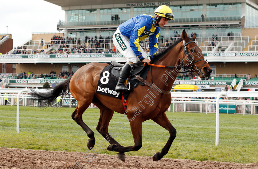 Winston-C-0001 
 WINSTON C (Sean Bowen)
Aintree 5 Apr 2019 - Pic Steven Cargill / Racingfotos.com