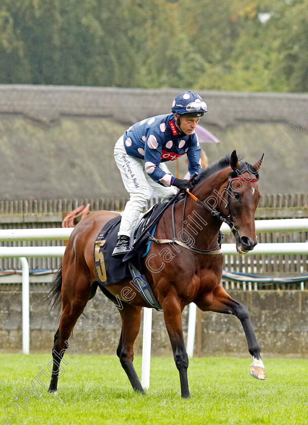 Mary-Of-Modena-0005 
 MARY OF MODENA (Ray Dawson) winner of The Turners Of Soham Handicap
Newmarket 5 Aug 2023 - Pic Steven Cargill / Racingfotos.com