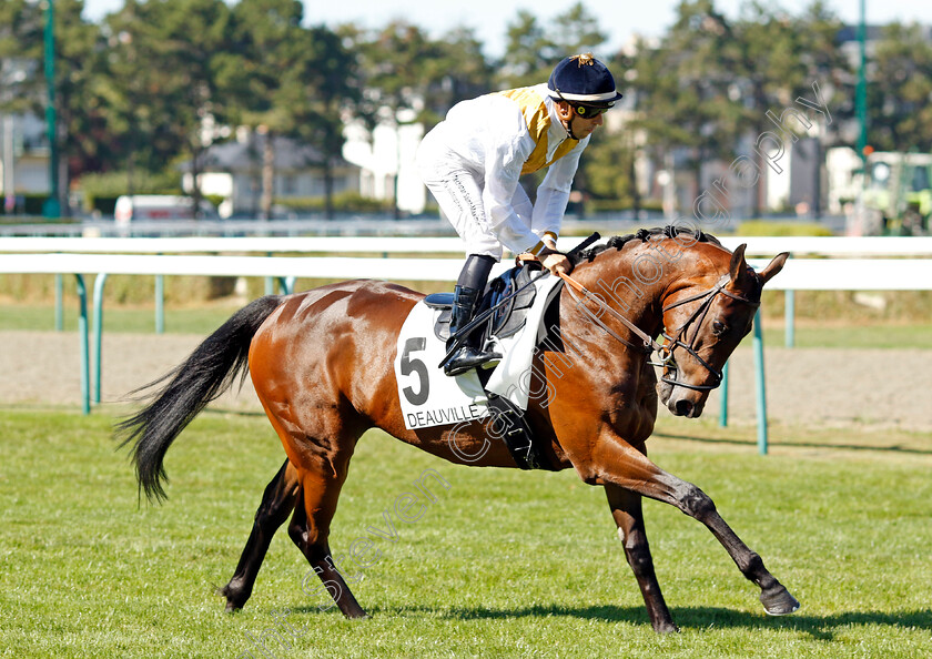 Kokachin-0001 
 KOKACHIN (Cristian Demuro)
Deauville 6 Aug 2022 - Pic Steven Cargill / Racingfotos.com