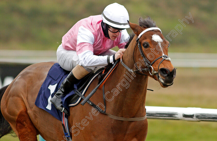 Attracted-0009 
 ATTRACTED (Richard Kingscote) wins The Bombardier Novice Stakes
Lingfield 19 Feb 2021 - Pic Steven Cargill / Racingfotos.com