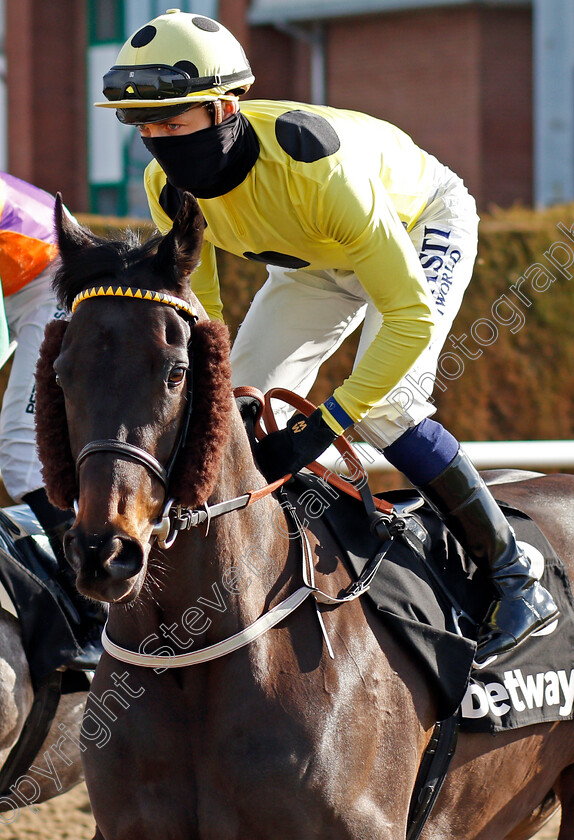 Repartee-0001 
 REPARTEE (Kevin Stott)
Wolverhampton 13 Mar 2021 - Pic Steven Cargill / Racingfotos.com