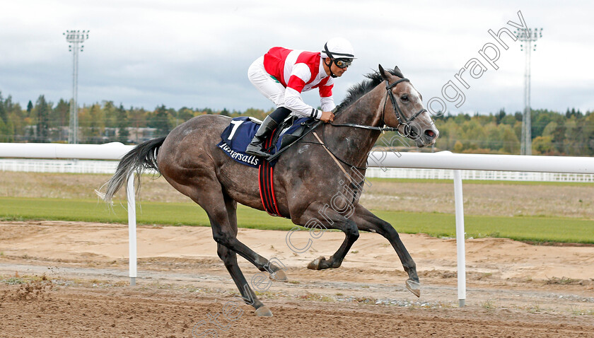 Duca-Di-Como-0002 
 DUCA DI COMO (Elione Chaves) wins The Tattersalls Nickes Minneslopning
Bro Park, Sweden 22 Sep 2019 - Pic Steven Cargill / Racingfotos.com