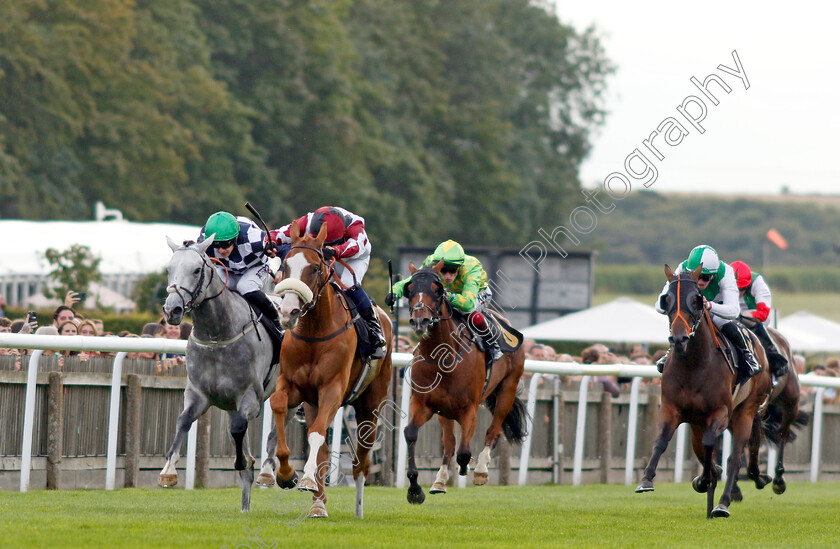 Squeezebox-0007 
 SQUEEZEBOX (Frederick Larson) beats GORDON GREY (left) in The Join Racing TV Now Handicap
Newmarket 28 Jul 2023 - Pic Steven Cargill / Racingfotos.com