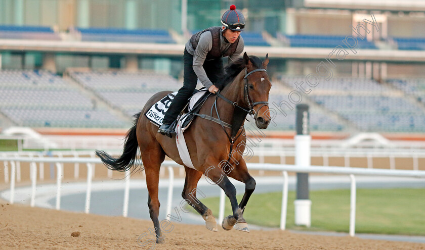 Fastnet-Crown-0001 
 FASTNET CROWN training at Meydan, Dubai
2 Feb 2023 - Pic Steven Cargill / Racingfotos.com