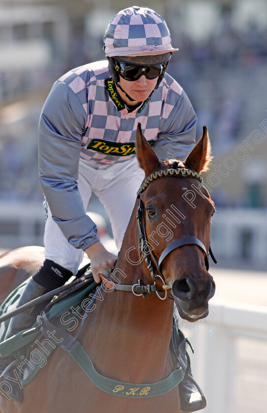 Shine-Baby-Shine-0001 
 SHINE BABY SHINE (Thomas Dowson) Cheltenham 19 Apr 2018 - Pic Steven Cargill / Racingfotos.com