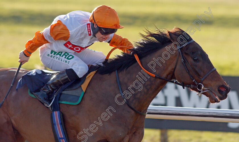 Royal-Dynasty-0003 
 ROYAL DYNASTY (Jason Hart) wins The Betway Handicap
Lingfield 8 Feb 2020 - Pic Steven Cargill / Racingfotos.com