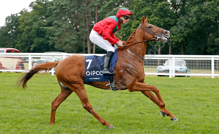 Waldgeist-0002 
 WALDGEIST (Pierre-Charles Boudot)
Ascot 27 Jul 2019 - Pic Steven Cargill / Racingfotos.com