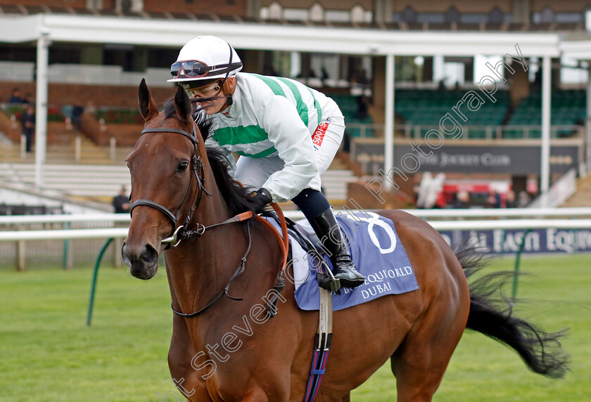 Sinology-0002 
 SINOLOGY (Hollie Doyle)
Newmarket 27 Sep 2024 - Pic Steven Cargill / Racingfotos.com