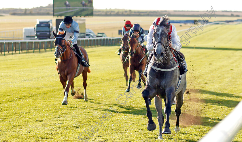 Top-Rank-0003 
 TOP RANK (P J McDonald) wins The Molson Coors Handicap
Newmarket 26 Sep 2019 - Pic Steven Cargill / Racingfotos.com