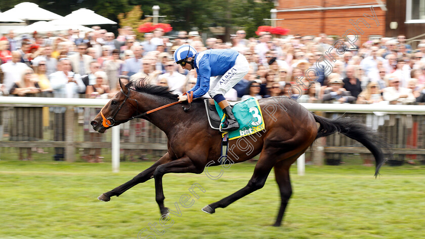 Motakhayyel-0004 
 MOTAKHAYYEL (Chris Hayes) wins The bet365 Mile Handicap
Newmarket 13 Jul 2019 - Pic Steven Cargill / Racingfotos.com