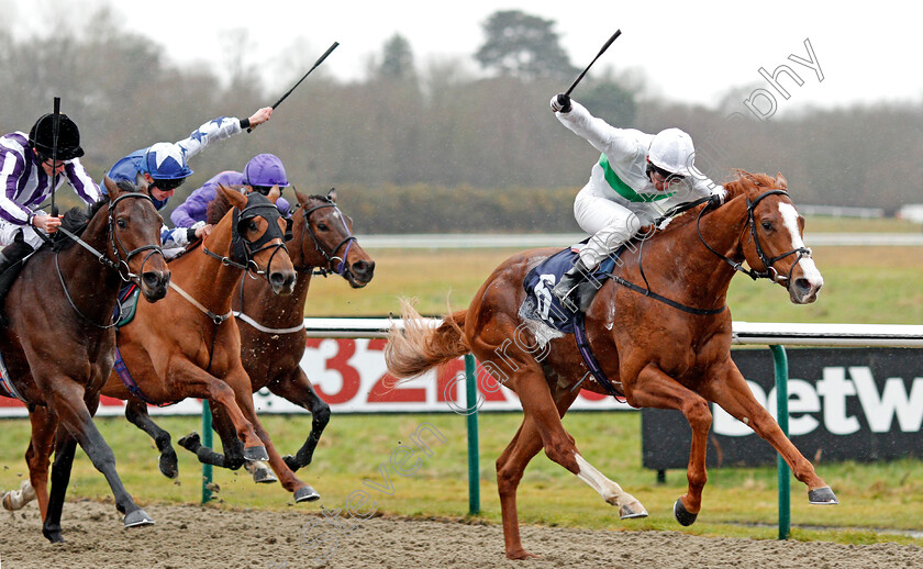 Utmost-0008 
 UTMOST (Robert Havlin) beats VICTORY BOND (left) in The Betway Winter Derby Trial Stakes Lingfield 3 Feb 2018 - Pic Steven Cargill / Racingfotos.com