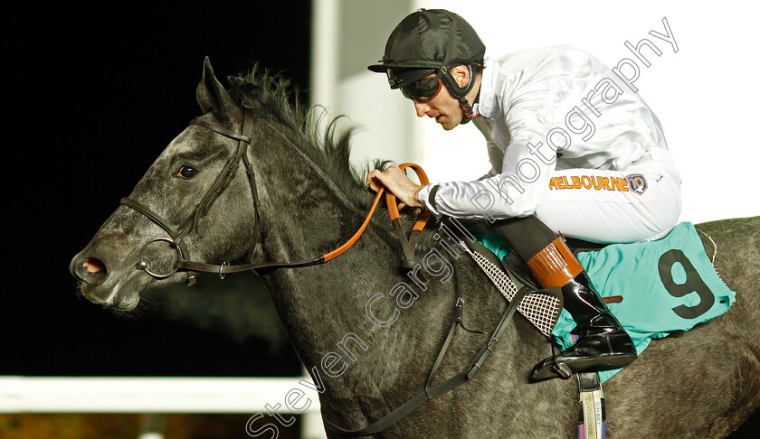 Lush-Life-0005 
 LUSH LIFE (Dougie Costello) wins The British Stallion Studs EBF Fillies Novice Stakes Kempton 8 Nov 2017 - Pic Steven Cargill / Racingfotos.com