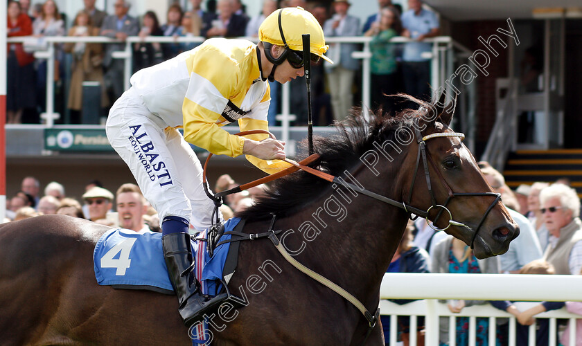 Concello-0007 
 CONCELLO (Oisin Murphy) wins The Sorvio Insurance Brokers Maiden Auction Fillies Stakes
Salisbury 16 Aug 2018 - Pic Steven Cargill / Racingfotos.com