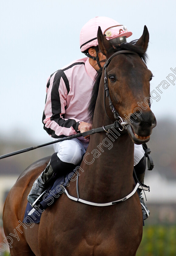 Final-Voyage-0001 
 FINAL VOYAGE (William Buick)
Wolverhampton 9 Mar 2024 - Pic Steven Cargill / Racingfotos.com