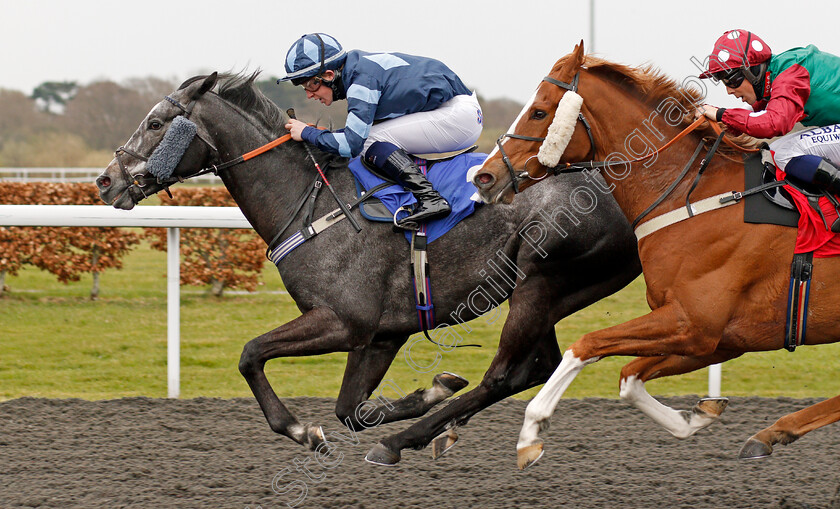 Cinzento-0003 
 CINZENTO (Owen Lewis) beats ARLECCHINO'S ARC (right) in The Bet At Racing TV Classified Stakes 
Kempton 31 Mar 2021 - Pic Steven Cargill / Racingfotos.com