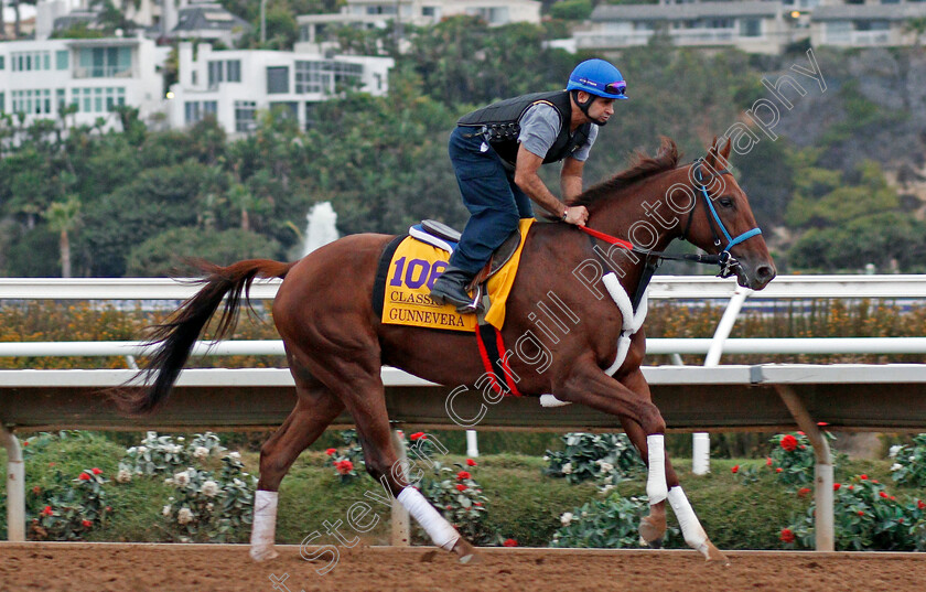 Gunnevera-0002 
 GUNNEVERA exercising at Del Mar USA in preparation for The Breeders' Cup Classic 30 Oct 2017 - Pic Steven Cargill / Racingfotos.com