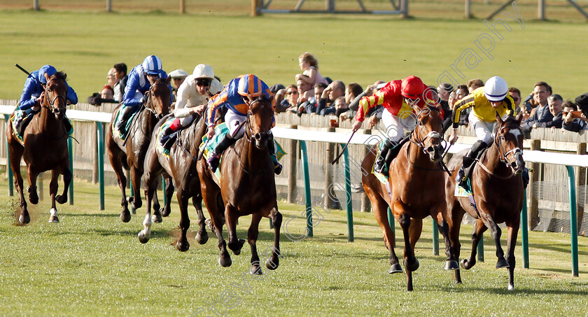 Iridessa-0003 
 IRIDESSA (2nd right, Wayne Lordan) beats PRETTY POLLYNANNA (right) and HERMOSA (left) in The bet365 Fillies Mile
Newmarket 12 Oct 2018 - Pic Steven Cargill / Racingfotos.com