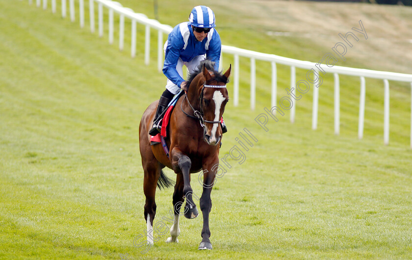 Warsaan-0001 
 WARSAAN (Jim Crowley)
Sandown 15 Jun 2018 - Pic Steven Cargill / Racingfotos.com