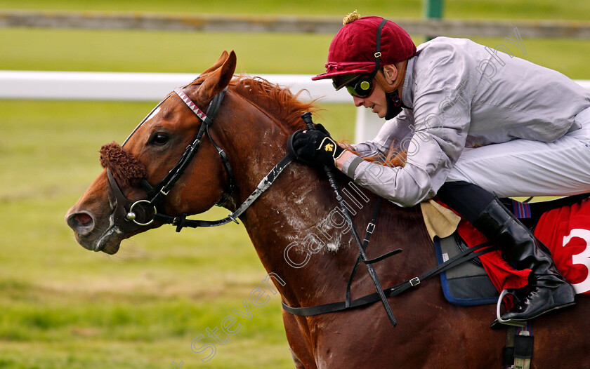 Ebro-River-0009 
 EBRO RIVER (James Doyle) wins The Coral Beaten By A Length National Stakes
Sandown 27 May 2021 - Pic Steven Cargill / Racingfotos.com