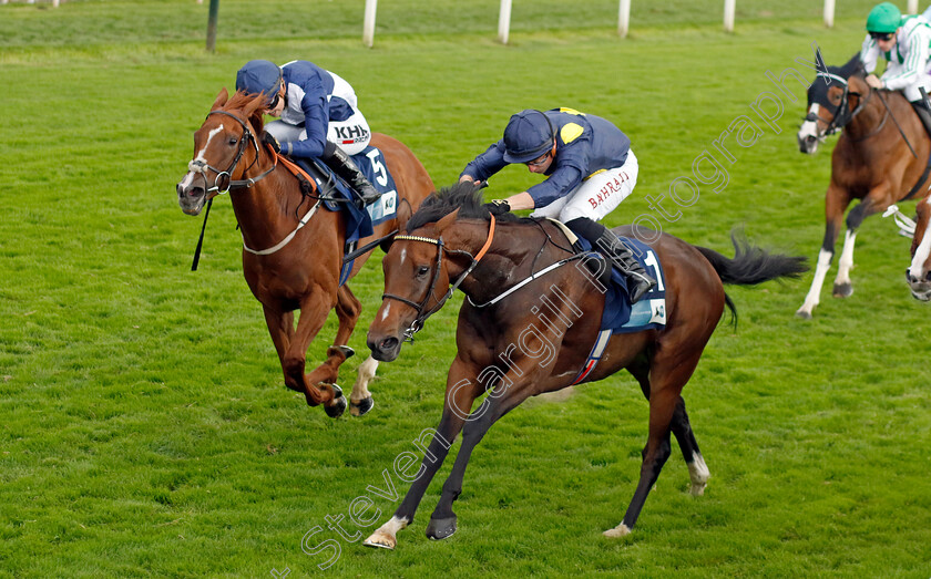 Sea-Theme-0003 
 SEA THEME (Tom Marquand) beats TREGONY (left) in The British EBF & Sir Henry Cecil Galtres Stakes
York 24 Aug 2023 - Pic Steven Cargill / Racingfotos.com