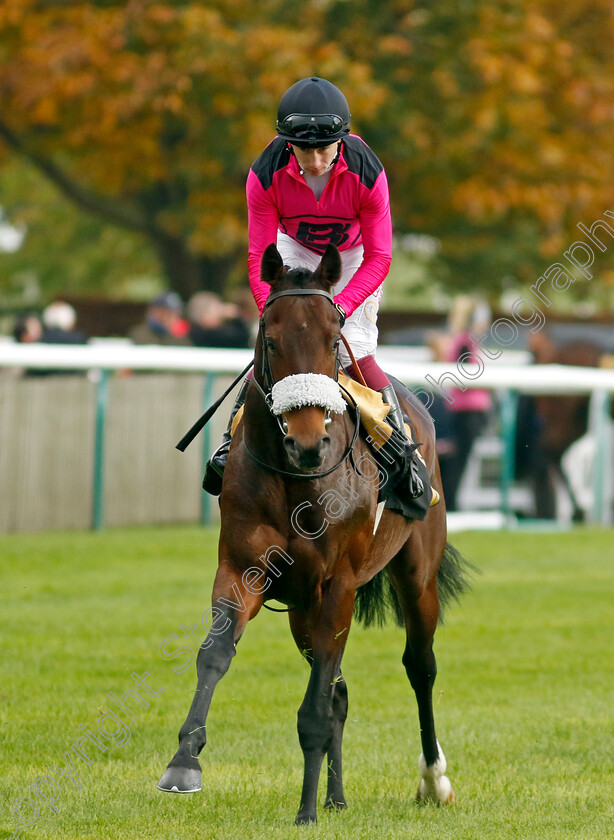 Eulace-Peacock-0001 
 EULACE PEACOCK (Oisin Murphy)
Newmarket 25 Oct 2023 - Pic Steven Cargill / Racingfotos.com