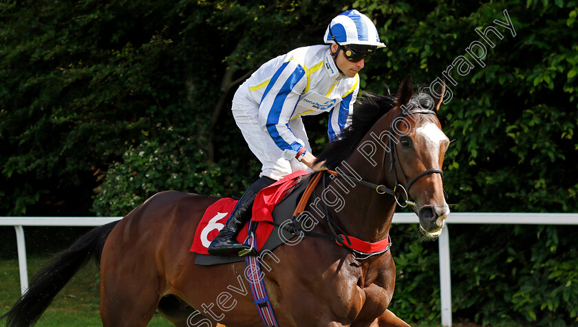 Edwardtheninth-0001 
 EDWARDTHENINTH (Kieran Shoemark)
Sandown 15 Jun 2024 - Pic Steven Cargill / Racingfotos.com