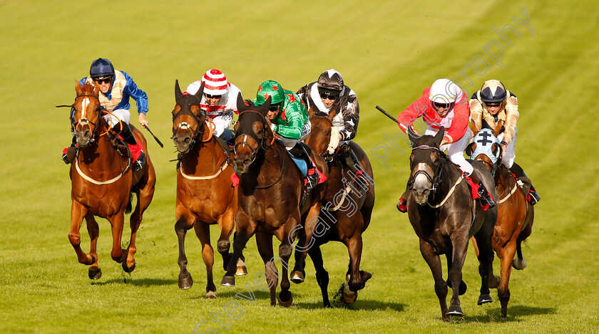 Count-Otto-0002 
 COUNT OTTO (centre, Pat Dobbs) beats LITTLE BOY BLUE (right) in The Sir Michael Pickard Handicap
Epsom 4 Jul 2019 - Pic Steven Cargill / Racingfotos.com