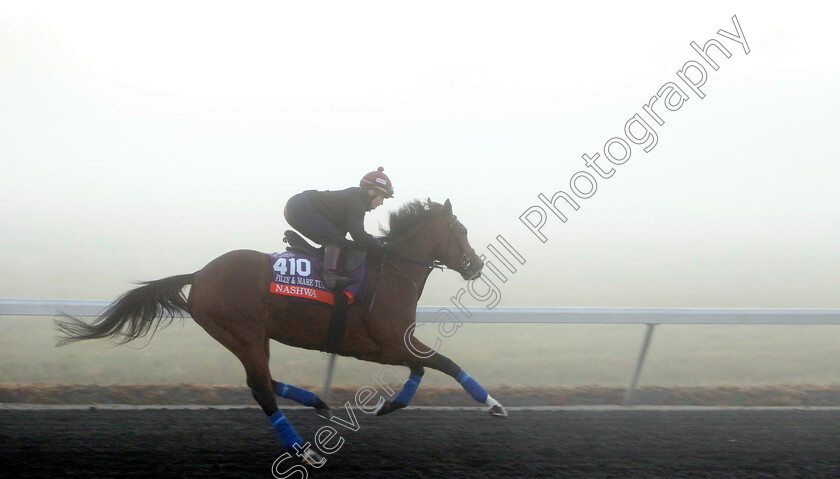 Nashwa-0003 
 NASHWA (Hollie Doyle) training for the Breeders' Cup Filly & Mare Turf
Keeneland USA 3 Nov 2022 - Pic Steven Cargill / Racingfotos.com