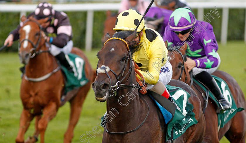 Laugh-A-MInute-0005 
 LAUGH A MINUTE (Andrea Atzeni) wins The Weatherbys Racing Bank £300,000 2-y-o Stakes Doncaster 14 Sep 2017 - Pic Steven Cargill / Racingfotos.com