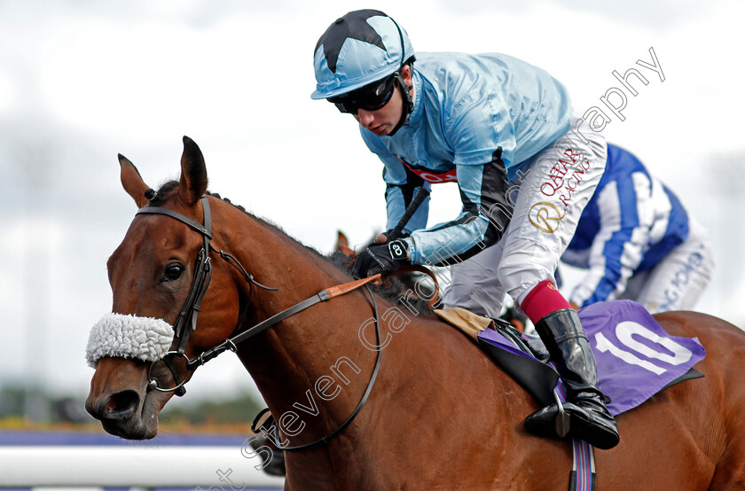 Round-Six-0008 
 ROUND SIX (Oisin Murphy) wins The Unibet British Stallion Studs EBF Novice Stakes
Kempton 18 Aug 2020 - Pic Steven Cargill / Racingfotos.com