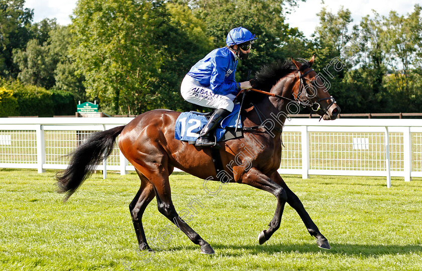 Masqool-0001 
 MASQOOL (Pat Cosgrave)
Salisbury 11 Jul 2020 - Pic Steven Cargill / Racingfotos.com