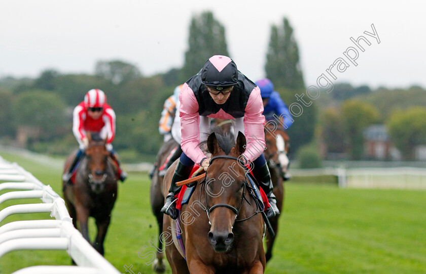 Mr-Monaco-0004 
 MR MONACO (Hector Crouch) wins The My Pension Expert Handicap
Sandown 8 Aug 2024 - Pic Steven Cargill / Racingfotos.com