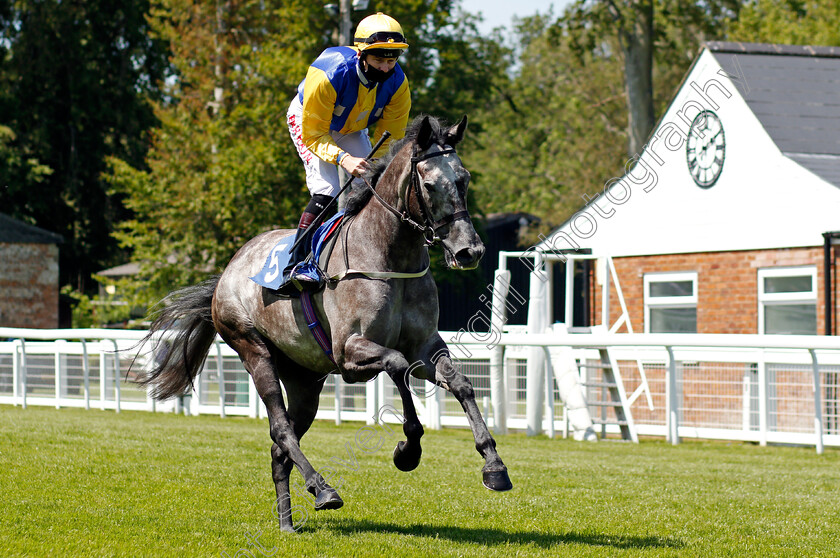 Kensington-Grey-0001 
 KENSINGTON GREY (Robert Havlin)
Salisbury 8 Jun 2021 - Pic Steven Cargill / Racingfotos.com