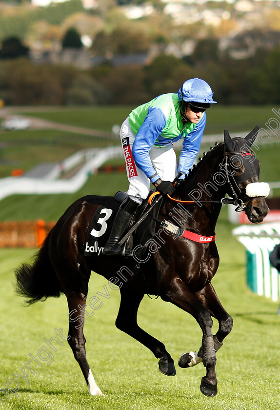 Canardier-0001 
 CANARDIER (Barry Geraghty) before The Ballymore Novices Hurdle
Cheltenham 26 Oct 2018 - Pic Steven Cargill / Racingfotos.com