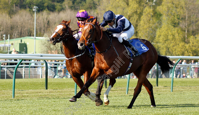 Temple-Of-Heaven-0005 
 TEMPLE OF HEAVEN (right, Sean Levey) beats DYLAN DE VEGA (left) in The Soiza Family Novice Stakes
Nottingham 20 Apr 2019 - Pic Steven Cargill / Racingfotos.com