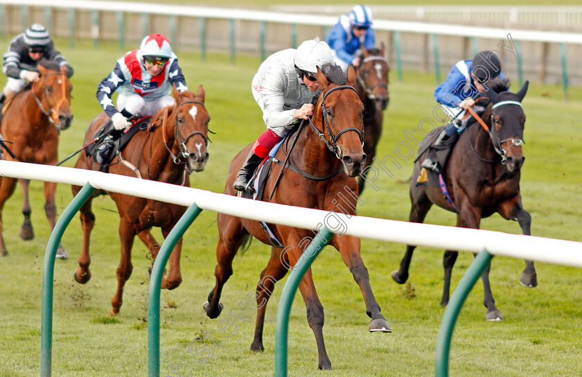 King-Leonidas-0004 
 KING LEONIDAS (Frankie Dettori) wins The Coates & Seely Blanc De Blancs Novice Stakes Div1
Newmarket 23 Oct 2019 - Pic Steven Cargill / Racingfotos.com