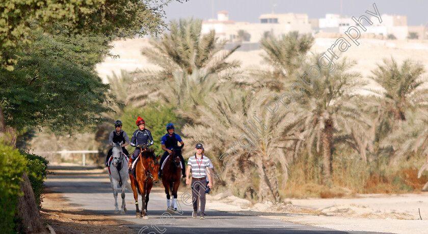 Fev-Rover-0005 
 FEV ROVER (Paddy Mathers) exercising in preparation for Friday's Bahrain International Trophy
Sakhir Racecourse, Bahrain 17 Nov 2021 - Pic Steven Cargill / Racingfotos.com