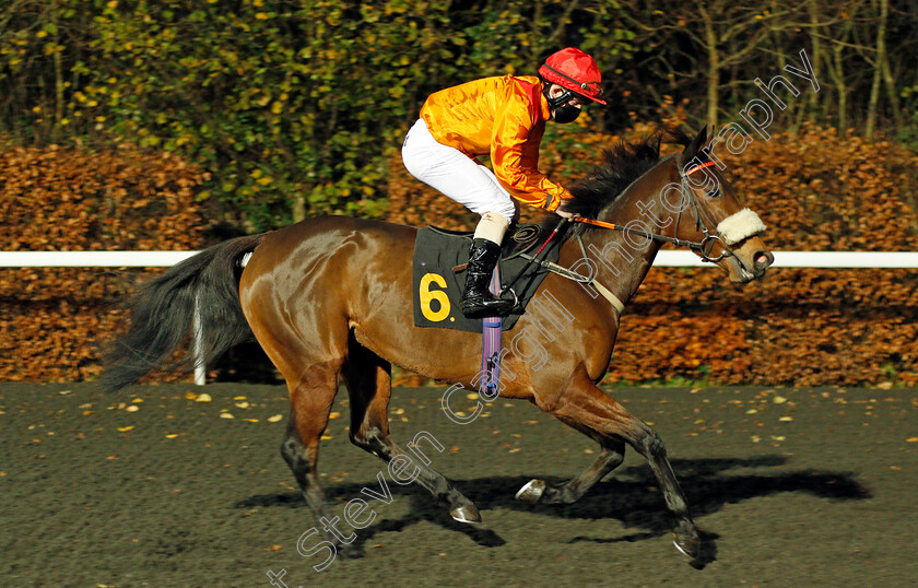 I-Am-Wild-0001 
 I AM WILD (Owen Lewis)
Kempton 25 Nov 2020 - Pic Steven Cargill / Racingfotos.com